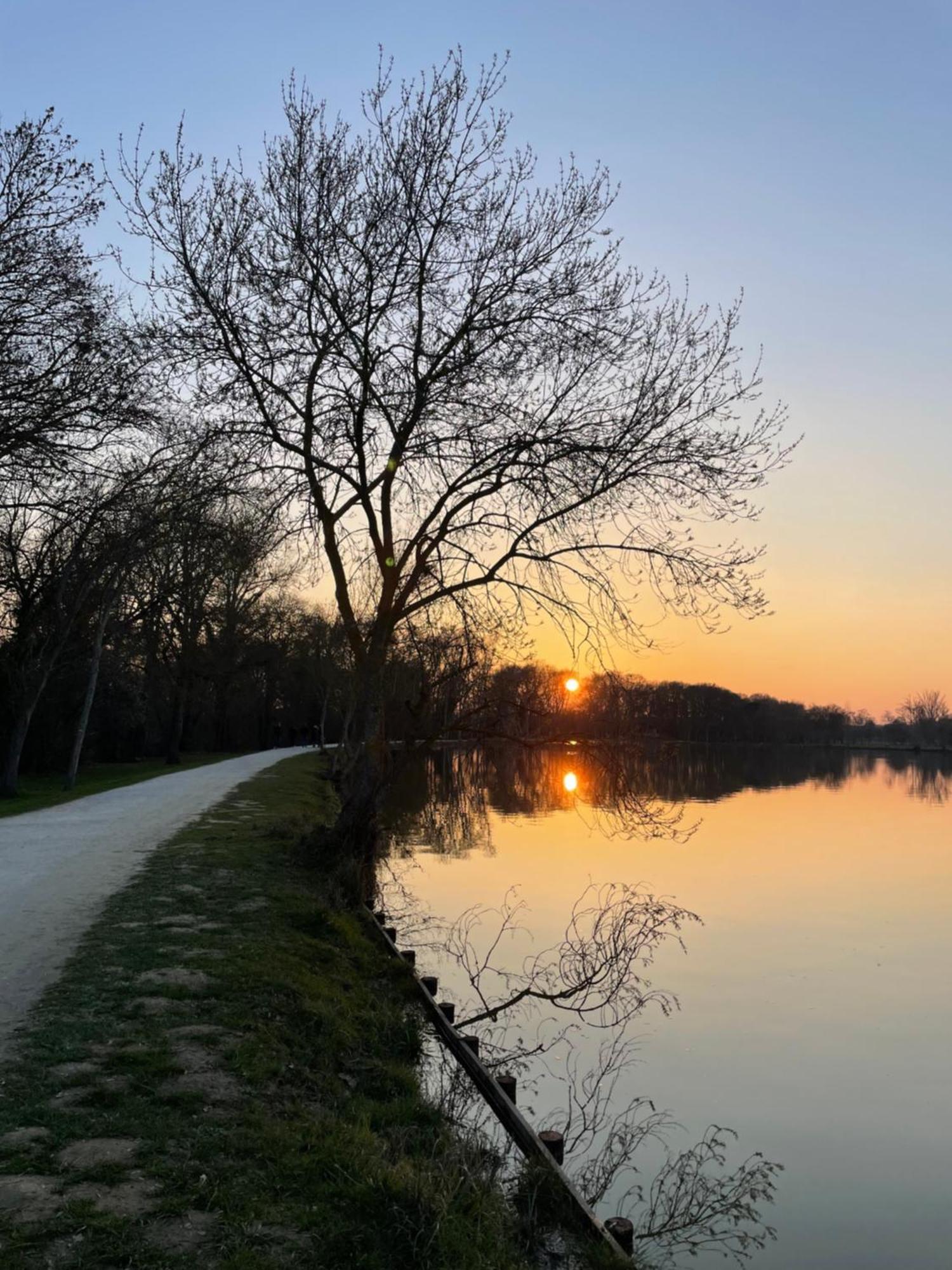 Confortable Ville A Deux Pas De Toulouse Tournefeuille Esterno foto